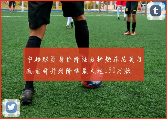 中超球员身价降幅分析热菲尼奥与瓦吉奇并列降幅最大达150万欧