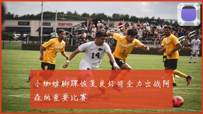 小蜘蛛脚踝恢复良好将全力出战阿森纳重要比赛